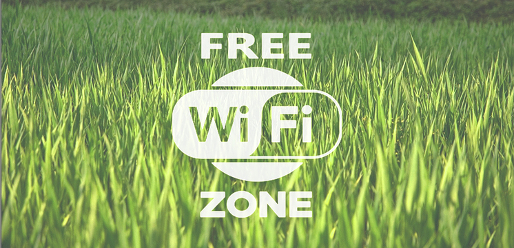 В парке «Алые Паруса» заработал бесплатный Wi-Fi