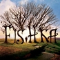 FISHka_pishet