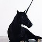 КотМистификатор