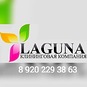Laguna cleaning